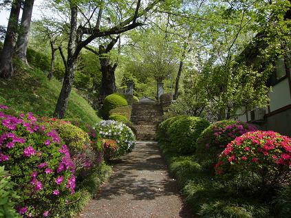 �Q���̂�2009�N