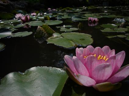 ���@�@2009�N5��25��