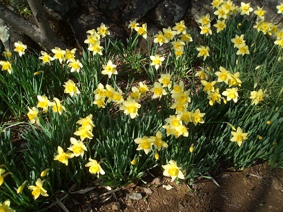 ����2010�N