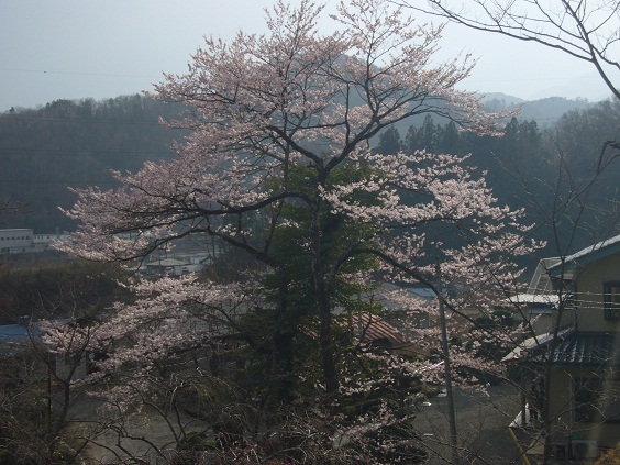 �ފݍ��̃��C�g�A�b�v2010�N