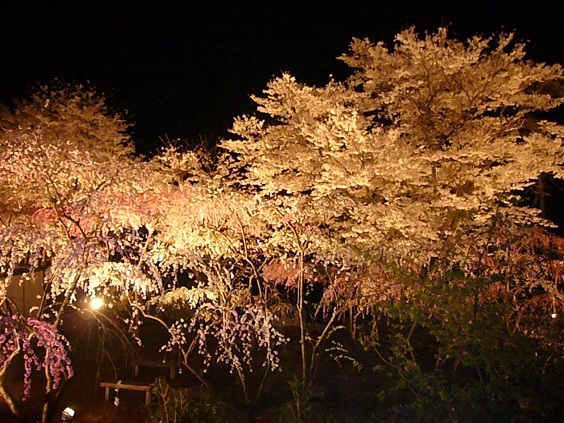 �g����E�}���꓍�E�}������̃��C�g�A�b�v2010�N