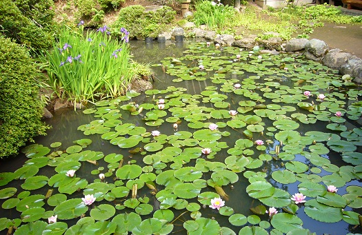 ���@�@2010�N6��1��