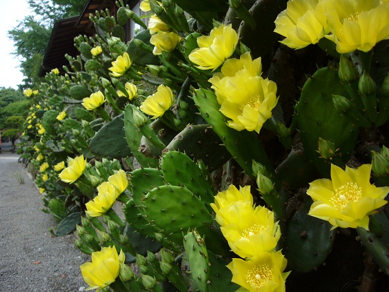 �T�{�e���@2010�N6��18��