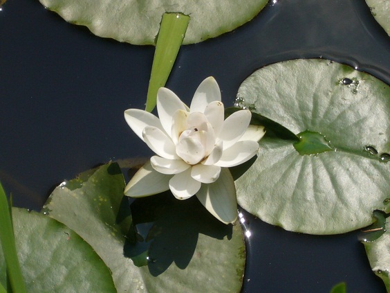 �������@�@2010�N6��3��