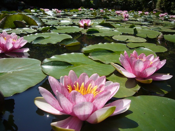 ���@�@2010�N6��6��