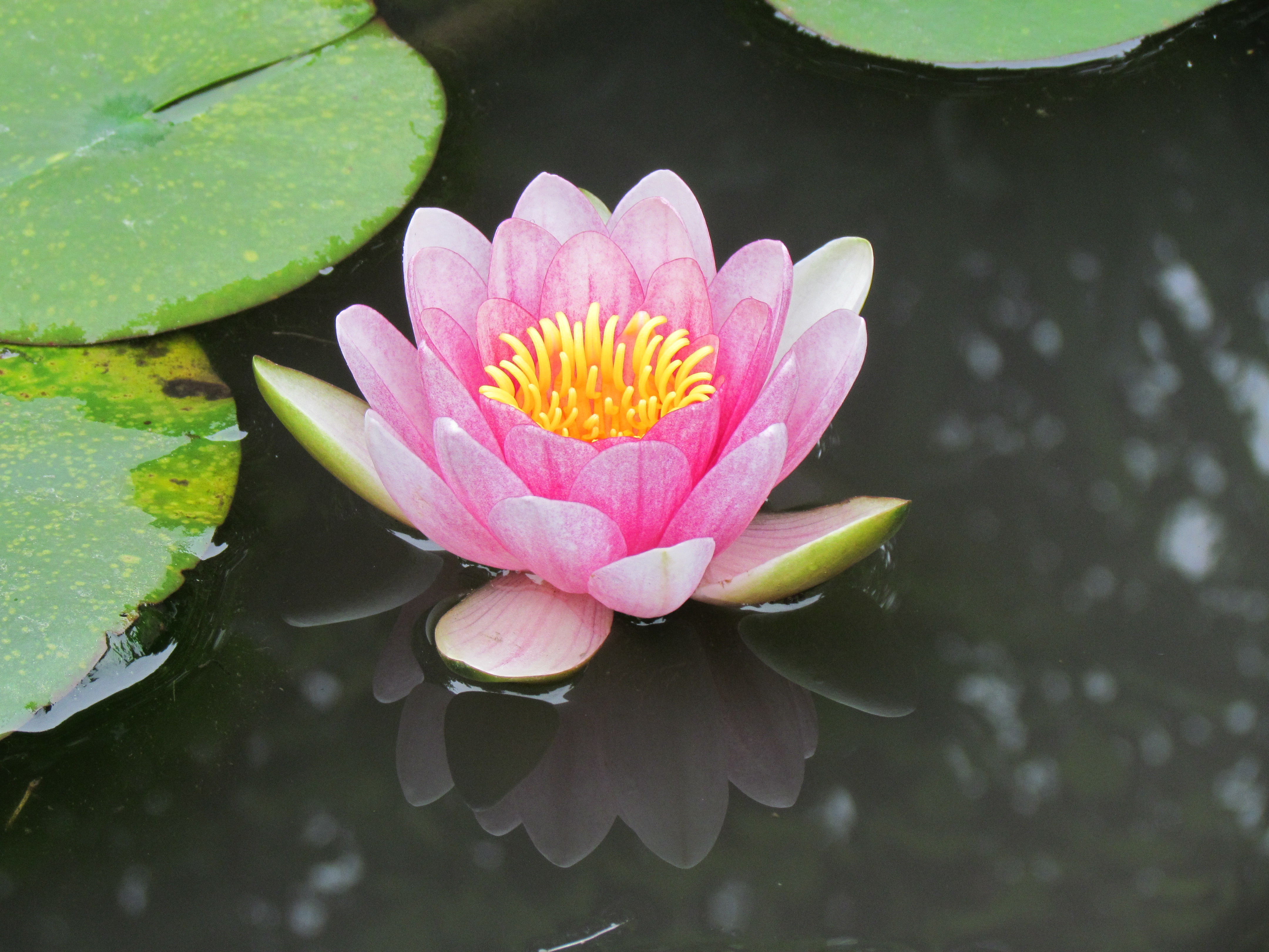 ���@2011�N5��27��