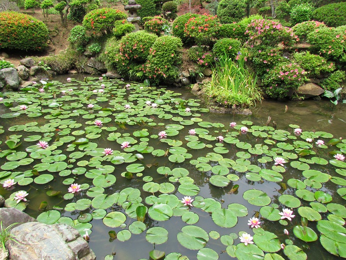 ���@ 2011�N6��10��