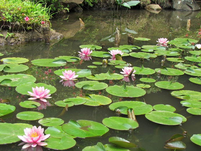 ���@�@2011�N6��10��