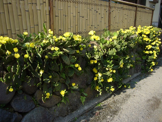 2011�N�T�{�e��