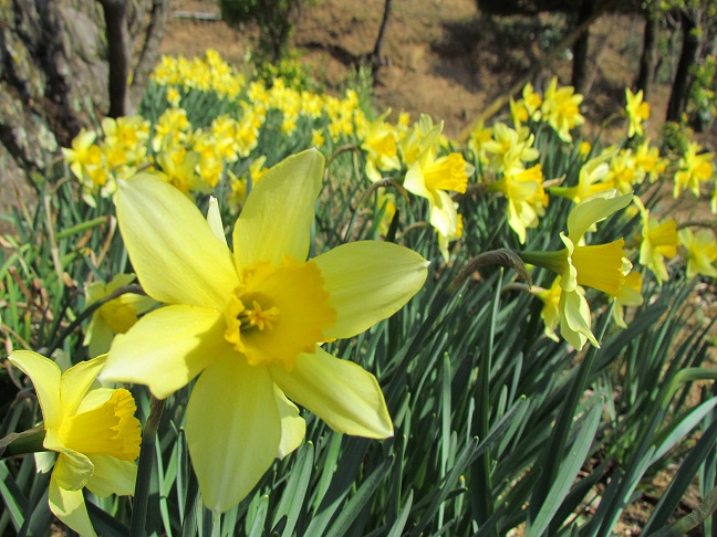 ����2012�N