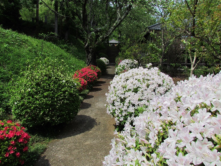 �Q���̂� 2012�N