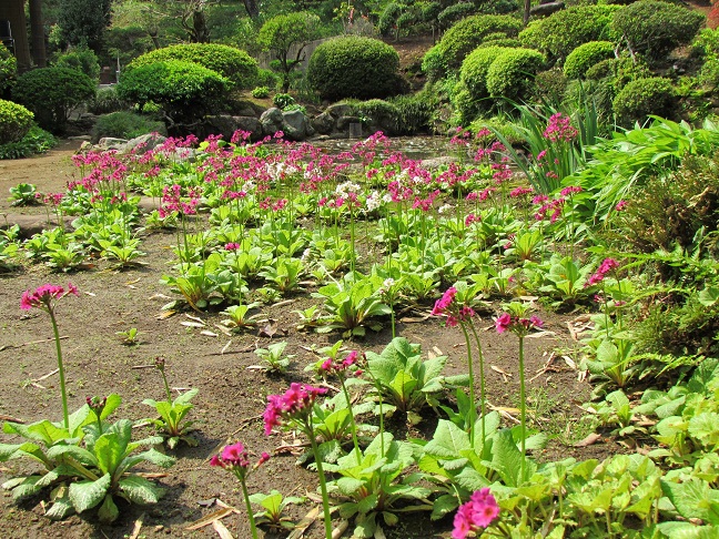 �N�����\�E 2012�N