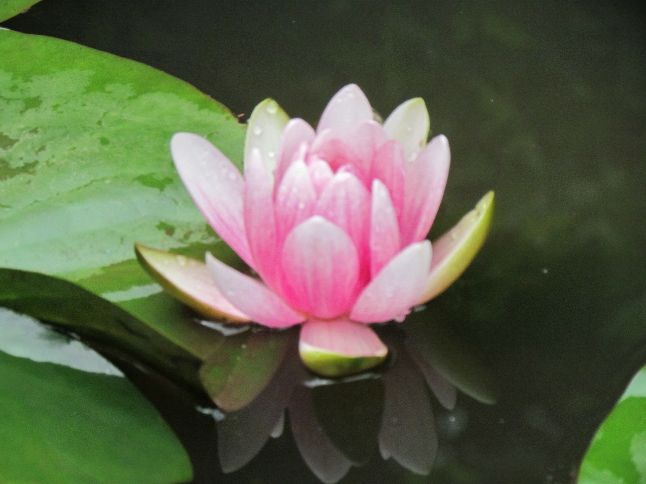 2012�N5��30���@���@�̉�