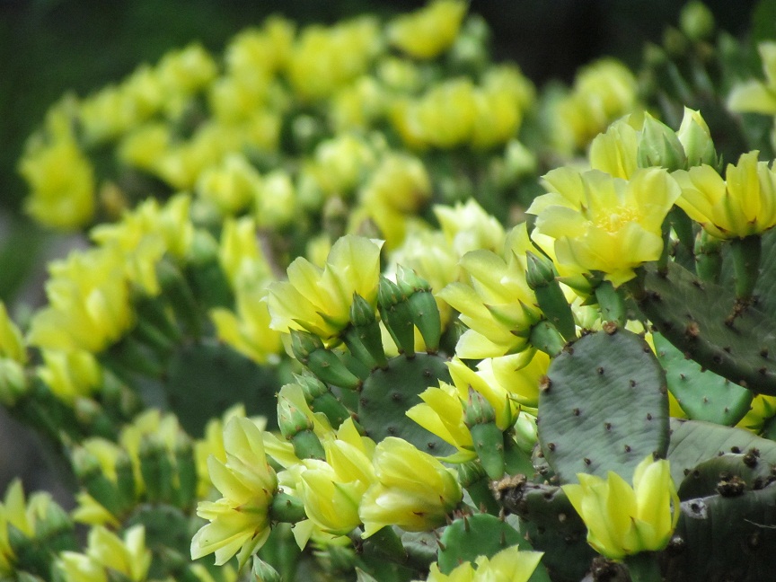 2013�N�T�{�e��