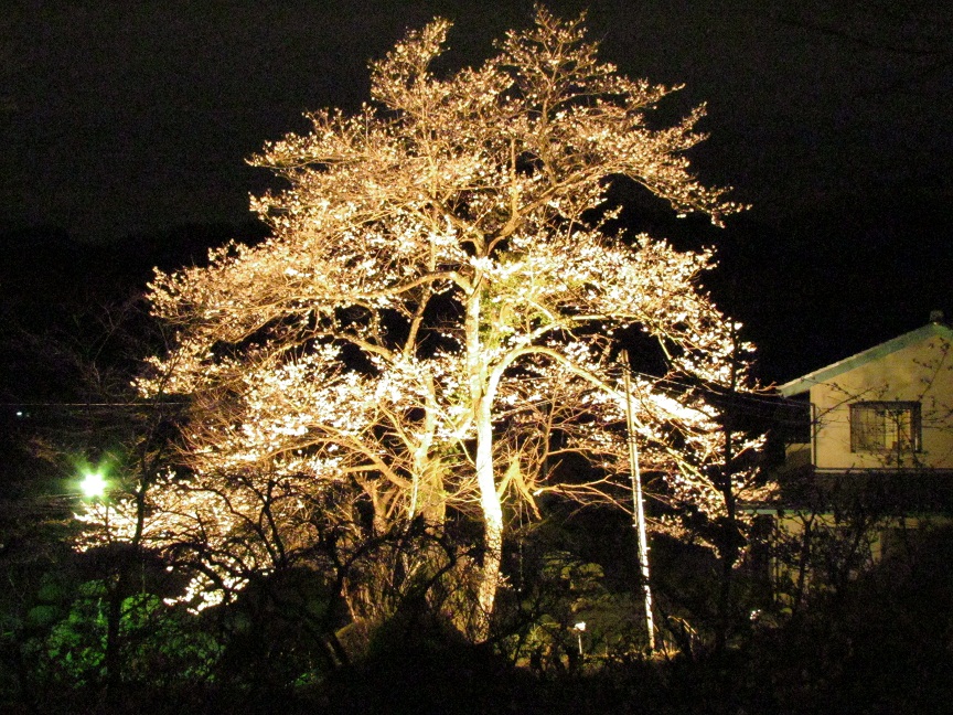 2013�N�ފݍ����C�g�A�b�v