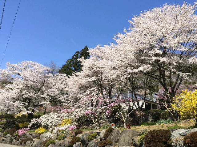 2014�N���J�̍��Ɠ�