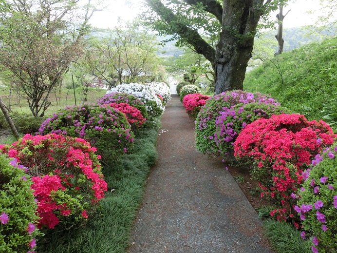 2014�N���̉�