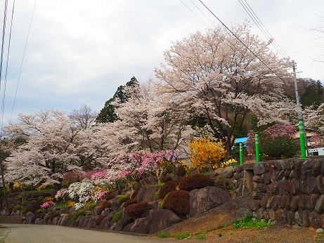 2015�N���Ɠ�