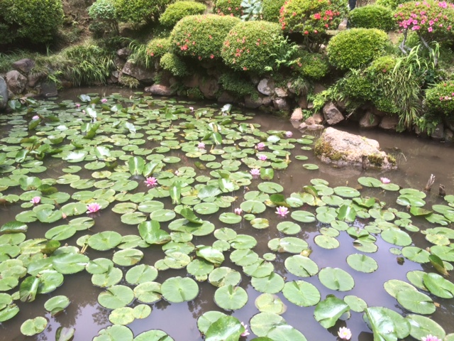 2016�N6��1�����@