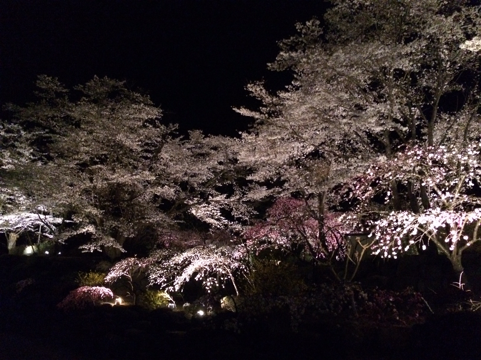 2018�N�����C�g�A�b�v