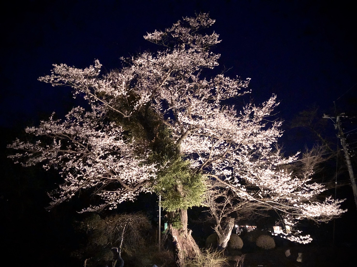 �ފݍ�2020�N3��22��