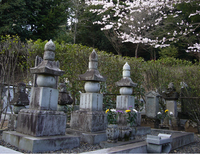 ���R�c�Ƒ�X�̕�