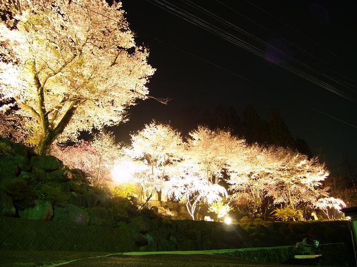 ���Ɠ��̃��C�g�A�b�v